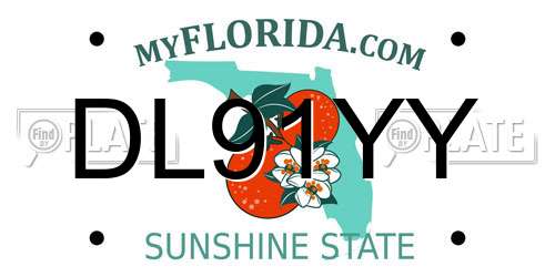 DL91YY Florida License Plate