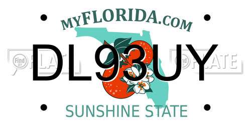 DL93UY Florida License Plate