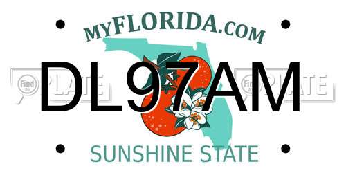 DL97AM Florida License Plate
