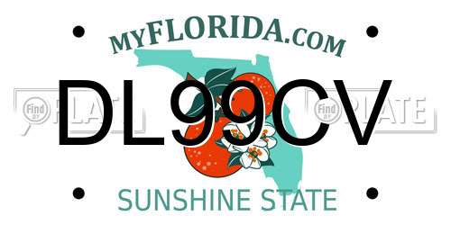 DL99CV Florida License Plate
