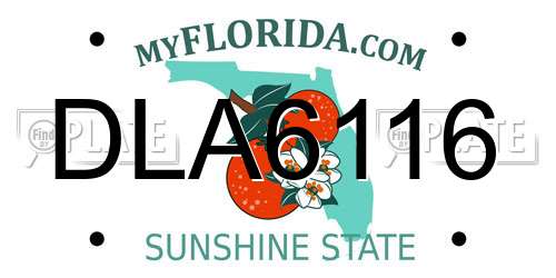 DLA6116 Florida License Plate