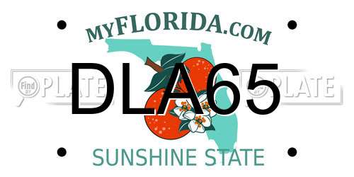 DLA65 Florida License Plate
