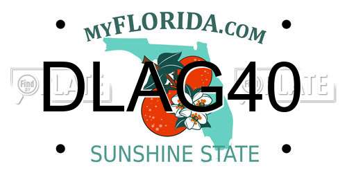 DLAG40 Florida License Plate