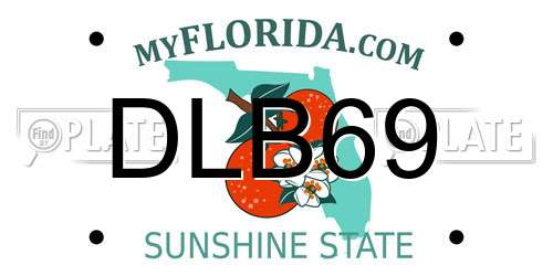 DLB69 Florida License Plate