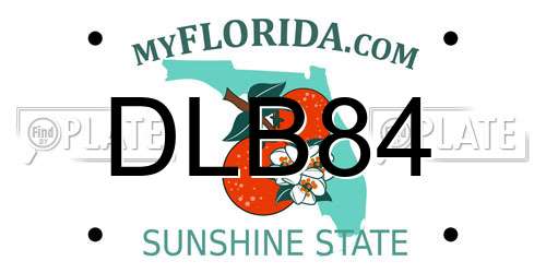 DLB84 Florida License Plate