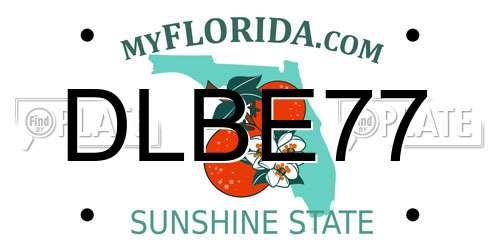 DLBE77 Florida License Plate