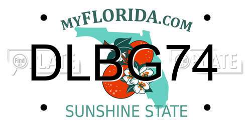 DLBG74 Florida License Plate