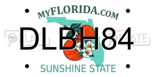 DLBH84 Florida License Plate