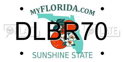 DLBR70 Florida License Plate