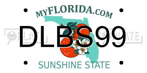 DLBS99 Florida License Plate