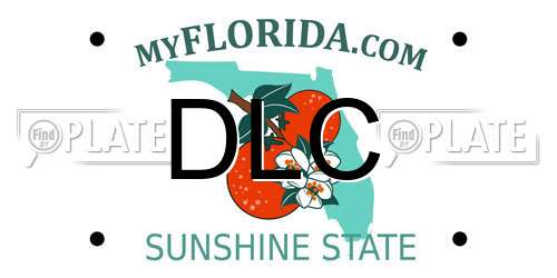 DLC Florida License Plate