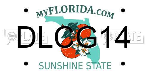 DLCG14 Florida License Plate