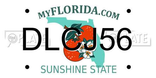 DLCJ56 Florida License Plate