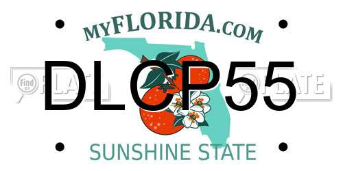 DLCP55 Florida License Plate