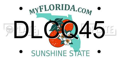 DLCQ45 Florida License Plate