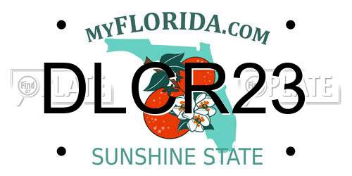 DLCR23 Florida License Plate