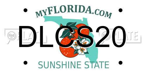 DLCS20 Florida License Plate