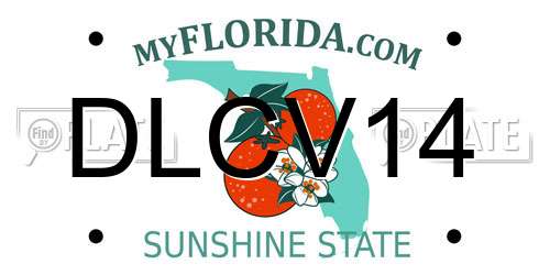DLCV14 Florida License Plate