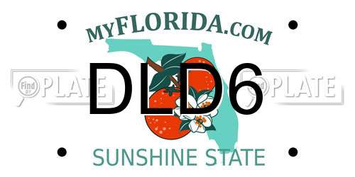 DLD6 Florida License Plate