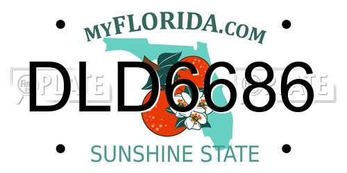 DLD6686 Florida License Plate