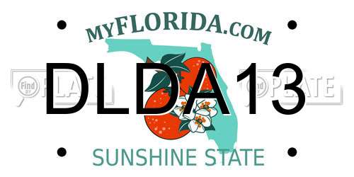 DLDA13 Florida License Plate