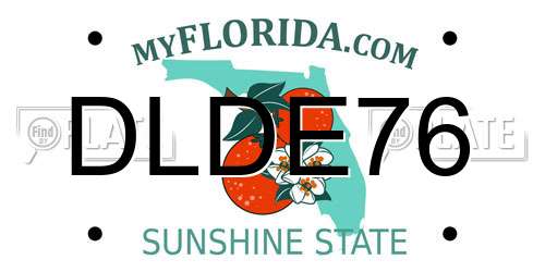 DLDE76 Florida License Plate