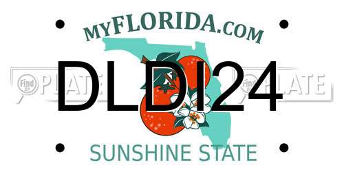 DLDI24 Florida License Plate