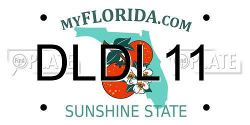 DLDL11 Florida License Plate