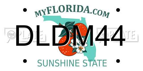 DLDM44 Florida License Plate