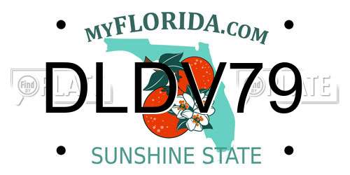 DLDV79 Florida License Plate