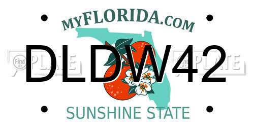 DLDW42 Florida License Plate