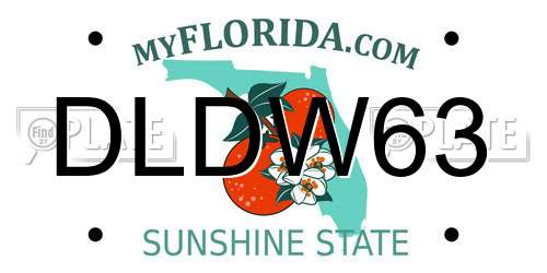 DLDW63 Florida License Plate