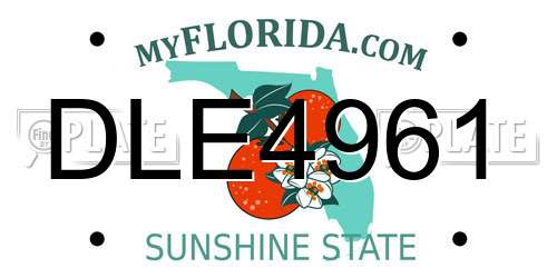 DLE4961 Florida License Plate