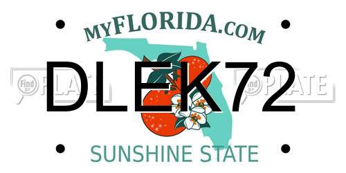 DLEK72 Florida License Plate