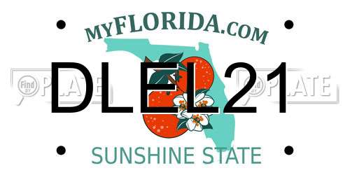 DLEL21 Florida License Plate