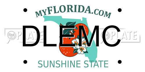 DLEMC Florida License Plate