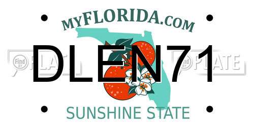 DLEN71 Florida License Plate