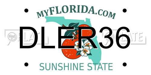 DLER36 Florida License Plate