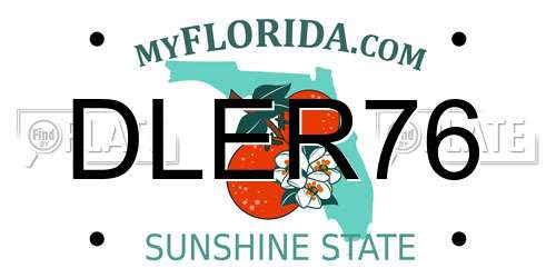 DLER76 Florida License Plate