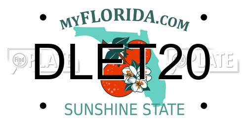 DLET20 Florida License Plate