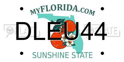 DLEU44 Florida License Plate