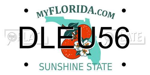 DLEU56 Florida License Plate