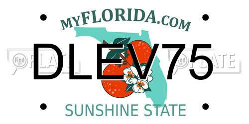 DLEV75 Florida License Plate
