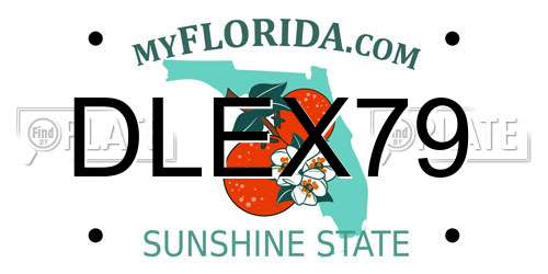DLEX79 Florida License Plate