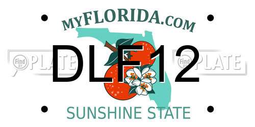 DLF12 Florida License Plate
