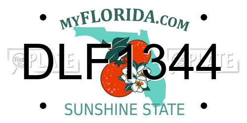 DLF1344 Florida License Plate