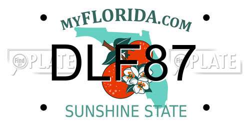 DLF87 Florida License Plate