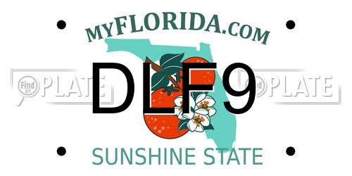 DLF9 Florida License Plate