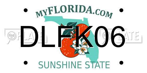 DLFK06 Florida License Plate