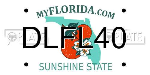 DLFL40 Florida License Plate